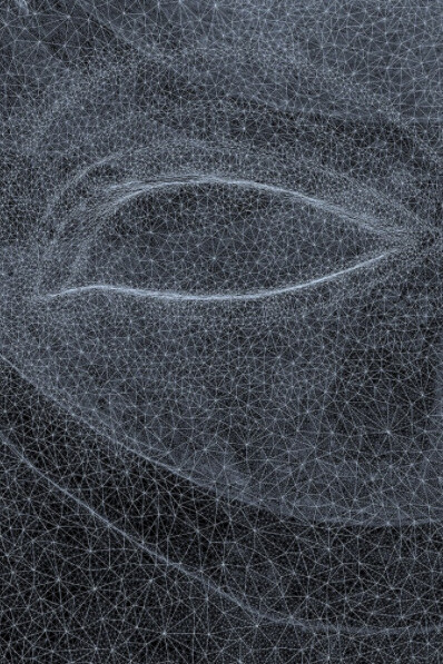 Not A Single Bone. Courtesy of Nome