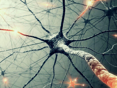 Voluntary, inner and reiterated use of information  
