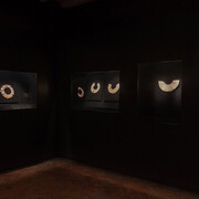 Shell Gallery. Courtesy of MAP Cusco