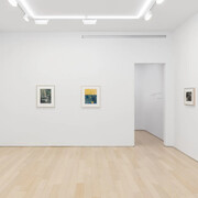 Richard Diebenkorn, Still life, exhibition view. Courtesy of Van Doren Waxter