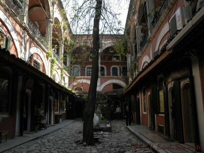 Urban tree. Istanbul © Chloe Ercoli Bannister