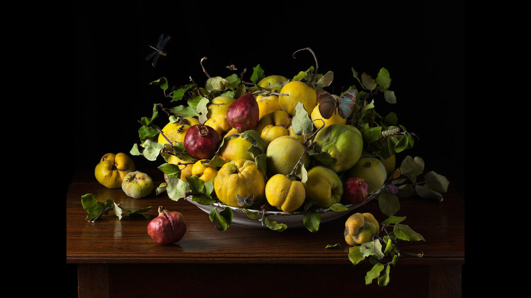 Paulette Tavormina, Orchard Quince, 2020. Archival pigment print. Courtesy of Winston Wächter Fine Art, New York