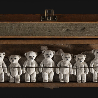 Heide Hatry, Polar bear extinction box. Courtesy of Ivy Brown Gallery 