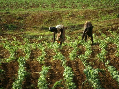 La stabilità democratica ha fatto realmente la differenza per le performance delle diverse economie africane