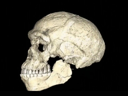 Discovery of oldest Homo Sapiens in Morocco rewrites human history