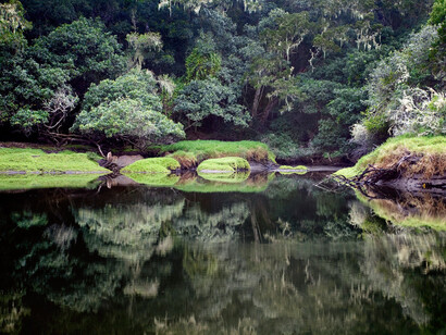 Still pools along the Salt River, Nature’s Valley, photographed by Obie Oberholzer