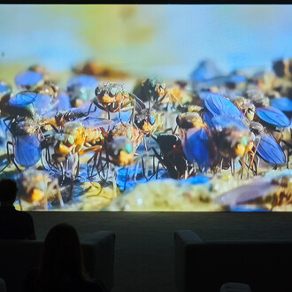 Verena Paravel, Delta, exhibition view. Courtesy of LUMA Arles