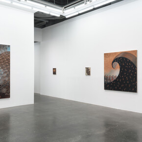 Anastasiya Tarasenko, Primordial soup, exhibition view. Courtesy of Anna Zorina Gallery 