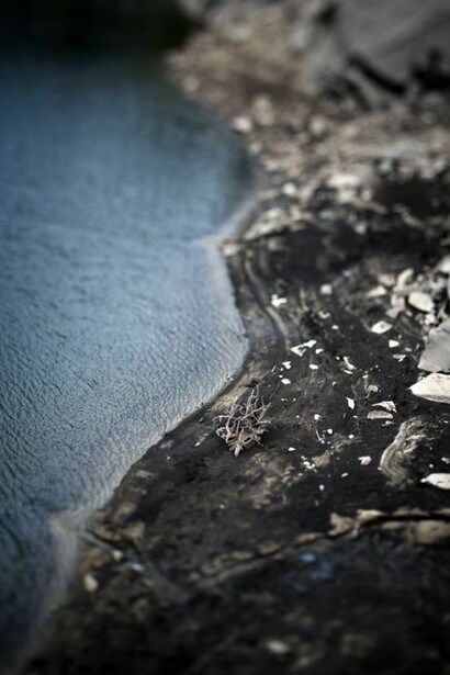 Lance W Clayton, Sticks Lake Mary, Utah, 2010, Archival Pigment Prints