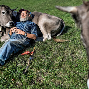 Swiss Press Photo 19. Courtesy of National Museum Zurich