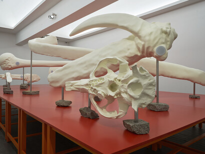 Francisca García and Mario Navarro, Unearthed conversation, exhibition view. Courtesy of S.M.A.K