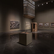 Colección Museo Universidad de Navarra. Cuatro décadas, exhibition view. Courtesy of Museo Universidad de Navarra 