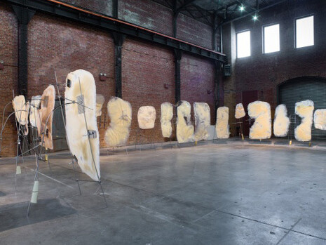 SOFT POWER. Courtesy of San Francisco Museum of Modern Art