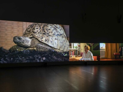 Eija-Liisa Ahtila, Reflexion eines waldes, ausstellungsansicht. Mit freundlicher genehmigung des Serlachius-Museums