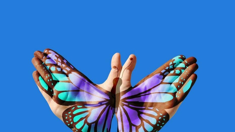 Unas manos hacen la figura de una mariposa