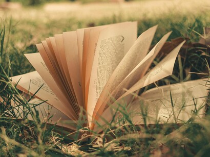 Aprender uma língua minoritária é como atravessar a porta de uma casa antiga. O tempo ali corre de outro modo; os cômodos guardam memórias que não são apenas nossas