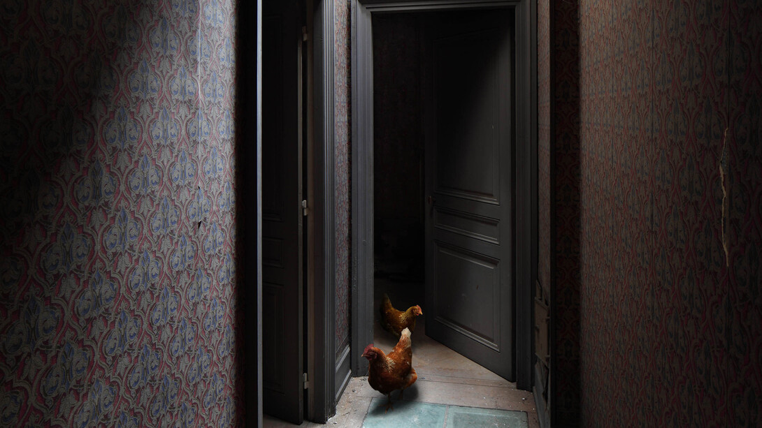 No Man's Land. Courtesy of Galerie Dumonteil