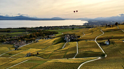 La Côte, dans le canton de Vaud, au bord du lac Léman, Suisse, 24 octobre 2020