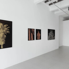 Mehdi-Georges Lahlou, The conference of the palm trees, exhibition view. Courtesy of Cuturi Gallery