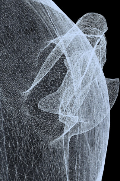 Not A Single Bone. Courtesy of Nome