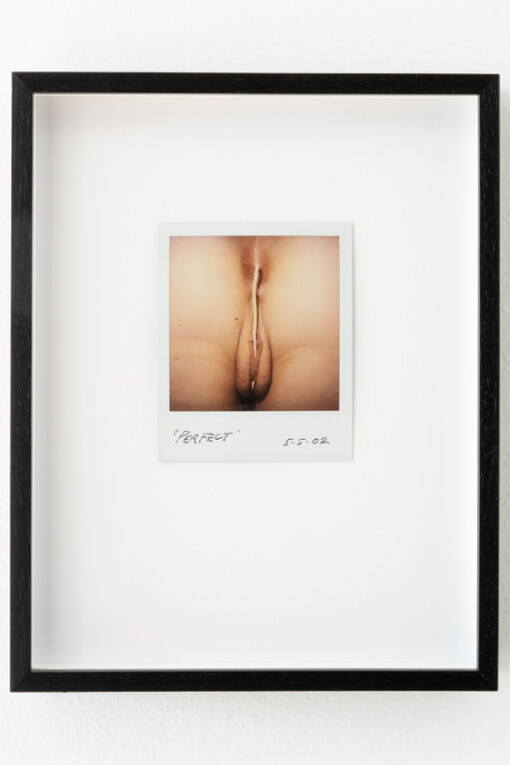 Genesis Breyer P-Orridge. Courtesy of Nina Johnson