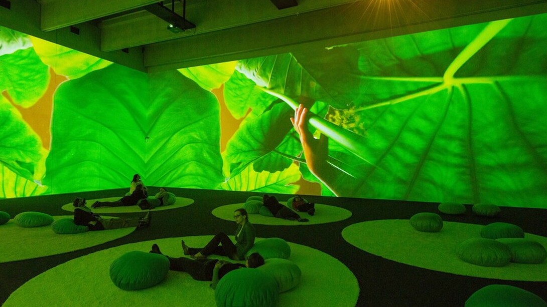 Pipilotti Rist, Gnade Donau Gnade (Mercy Danube Mercy), 2013-2015. Courtesy of New Museum