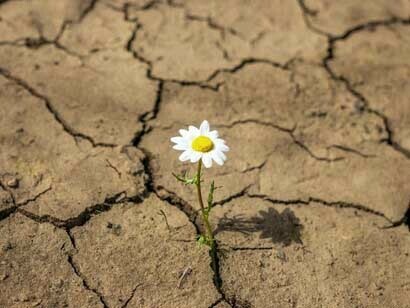 Las palabras no son simples verbos que nos mueven a una acción o nos ayudan a predicar las ideas