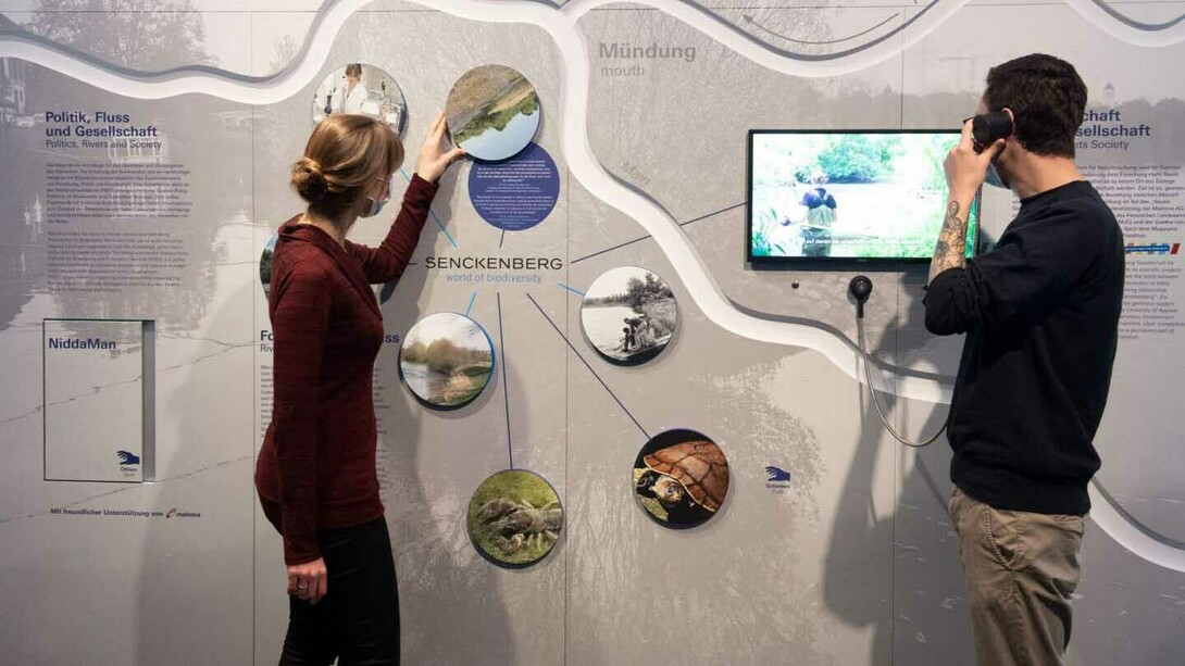 Flüsse, ausstellungsansicht. Mit freundlicher genehmigung des Senckenberg Naturmuseums
