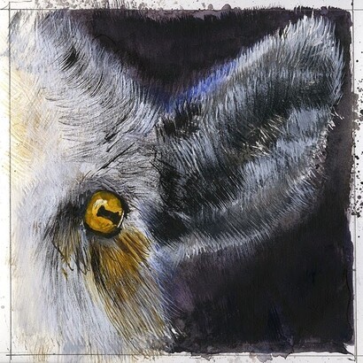Giorgio Maria Griffa, Occhi di capra, 20 x 20 cm