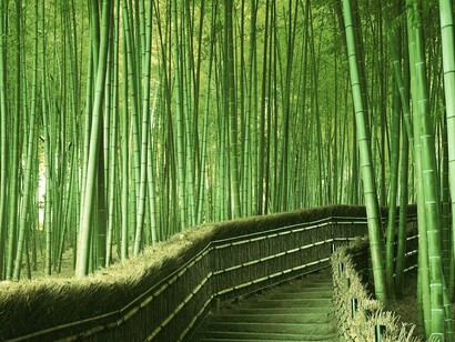 Passagem na natureza