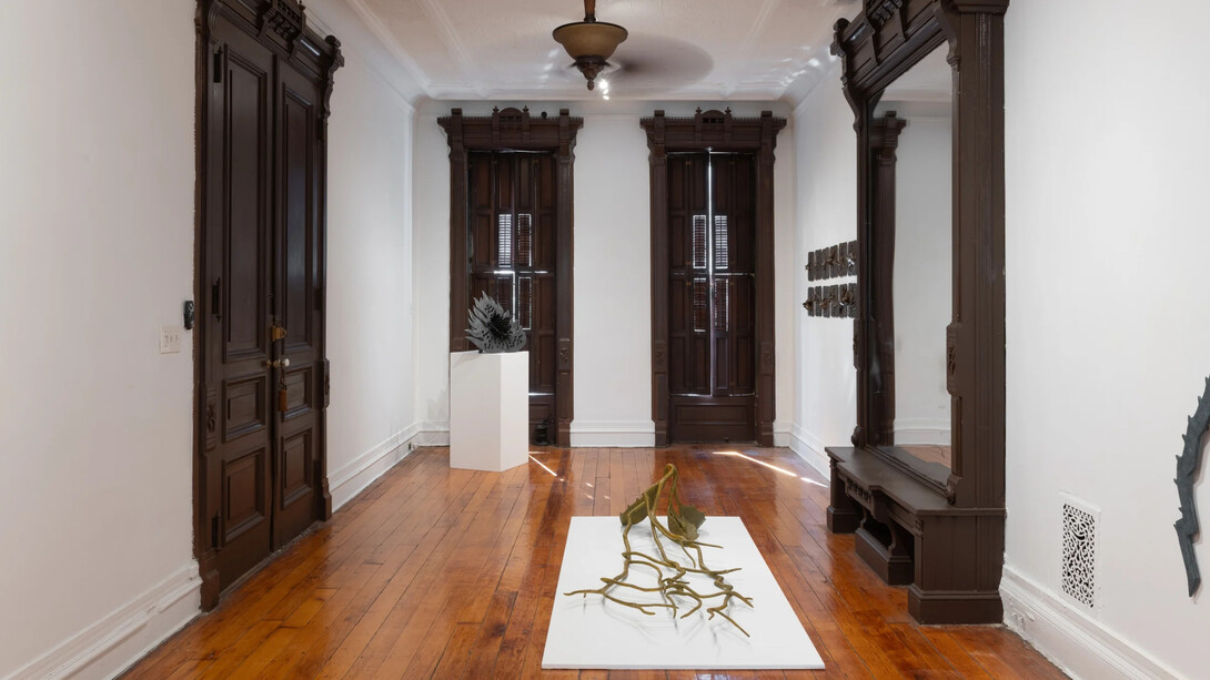 Helen Evans Ramsaran, Strange fruit, exhibition view. Courtesy of Welancora Gallery