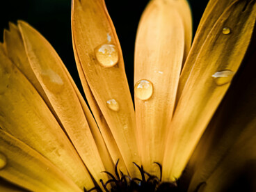 Ser bruja es un acto de amor propio y valentía, es elegir ser auténticas en un mundo que a veces quiere que seamos otra cosa