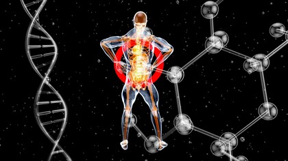 Representação do corpo humano cercada por estruturas moleculares e uma dupla hélice de DNA. A epigenética investiga justamente como fatores ambientais e comportamentais podem influenciar a expressão dos genes sem alterar sua sequência genética. Entre a herança genética e o ambiente existe um complexo sistema de regulação que ajuda a moldar a saúde ao longo da vida. Cada escolha cotidiana contribui para criar o ambiente bioquímico que influencia padrões de expressão gênica