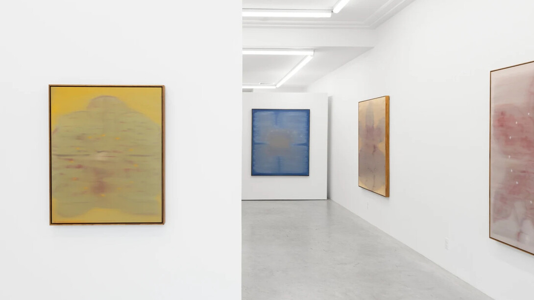 Heath Wae, School of the flower, exhibition view. Courtesy of Arden + White Gallery 