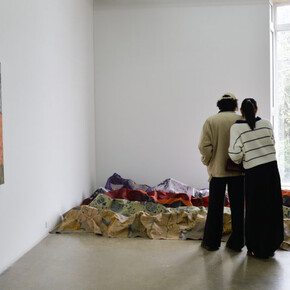 María José Chica, Substrate, exhibition view. Courtesy of El Dorado Space
