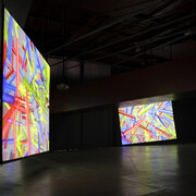 Peter Struycken. Courtesy of Groninger Museum