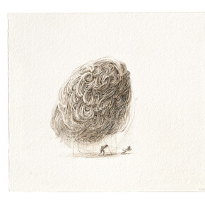 Uncertainties/ Improbabilities. Courtesy of Hopstreet