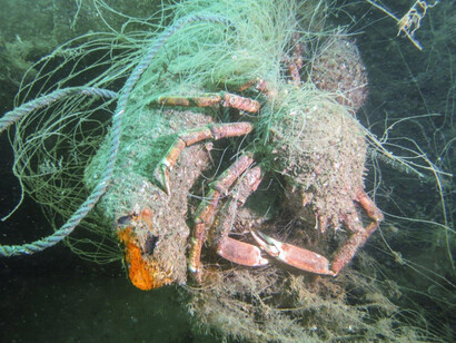 The amount of fishing gear remaining in the marine environment will continue to accumulate and the impacts on marine ecosystems will continue to get worse