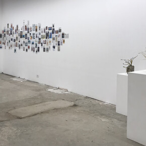 Installation view, Share Happiness - omaggio a Frankenstein, Alberta Pane Gallery, Venice 