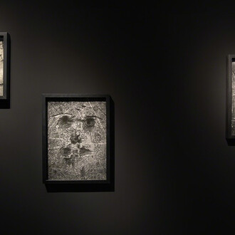 Writings on the Wall. Courtesy of Waddington Custot Galleries