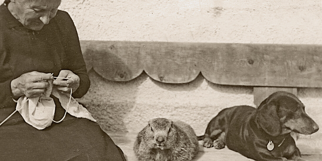 Marmot as housemate. S-charl GR, around 1925.
© Foto Feuerstein, Scuol.