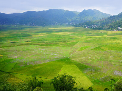 Le tipiche coltivazioni di riso a tela di ragno di Ruteng