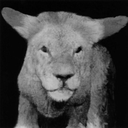 Nancy Burson, Lion/Lamb