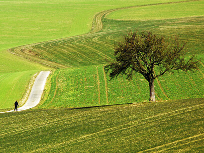  Walk, don´t run © Lutz Koch
