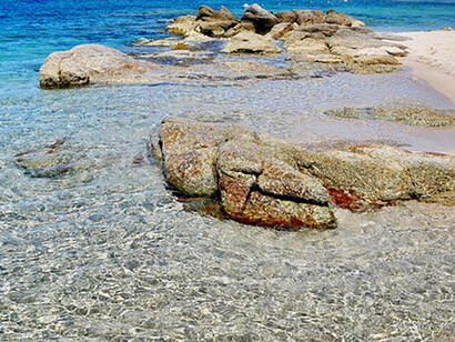 Gli ultimi undici mesi, dominati dall’angoscia della pandemia, hanno reso tutto molto complicato