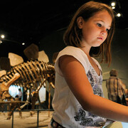 Prehistoric Journey. Courtesy of Denver Museum of Nature & Science