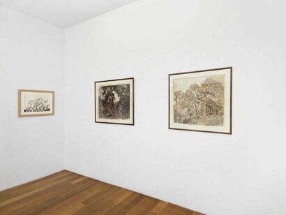 José Gamarra, Whispers in the forest, exhibition view. Courtesy of Xippas Gallery