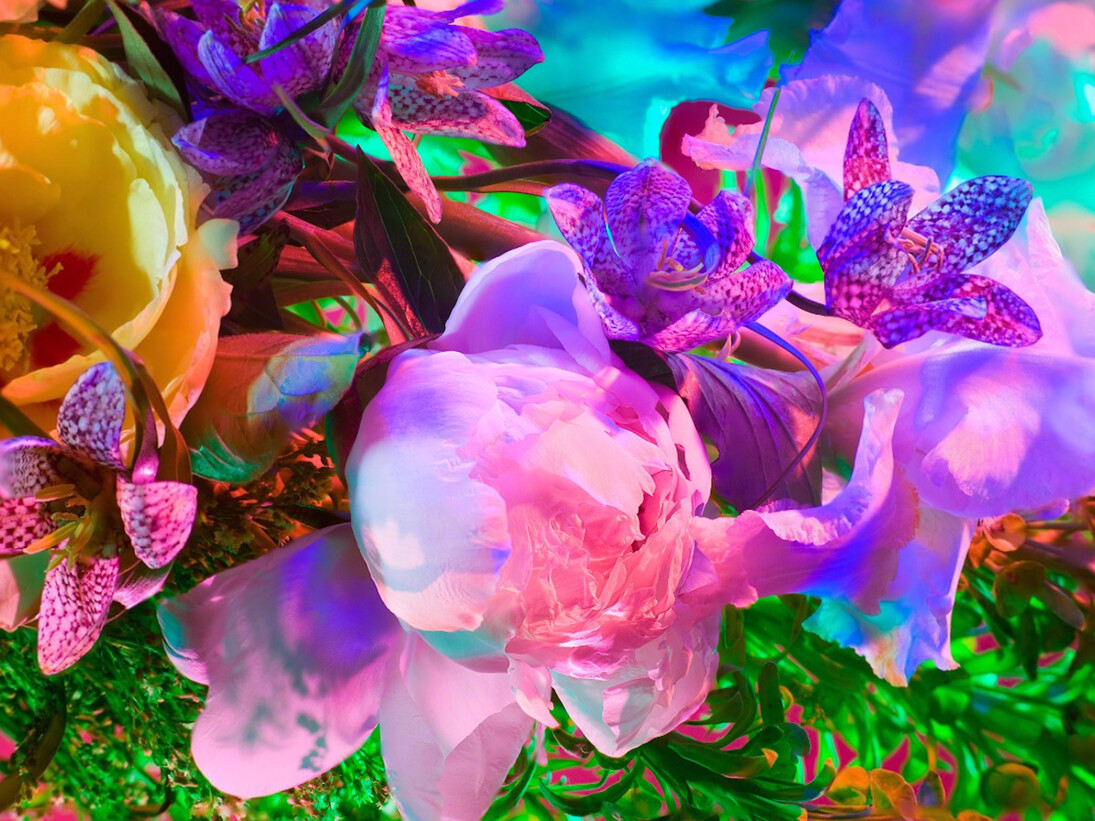 Torkil Gudnason, Electric Blossom #1721, 2012. Courtesy of Fahey/Klein Gallery