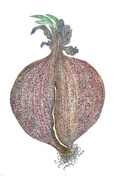 Eddie Lui (b.1947), WfH Series - Bulb Onion, 2020, Chinese ink & colour on rice paper, 39.5x27.5cm 