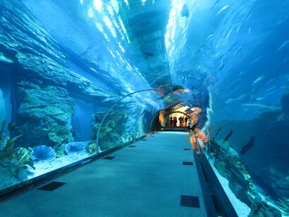 Acuario del Burj Al Arab